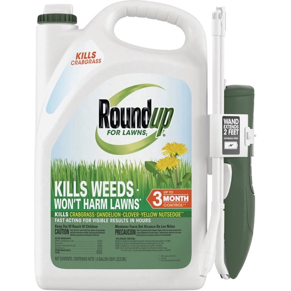 Roundup For Lawns Northern Formula Weed Killer - Single Pack
