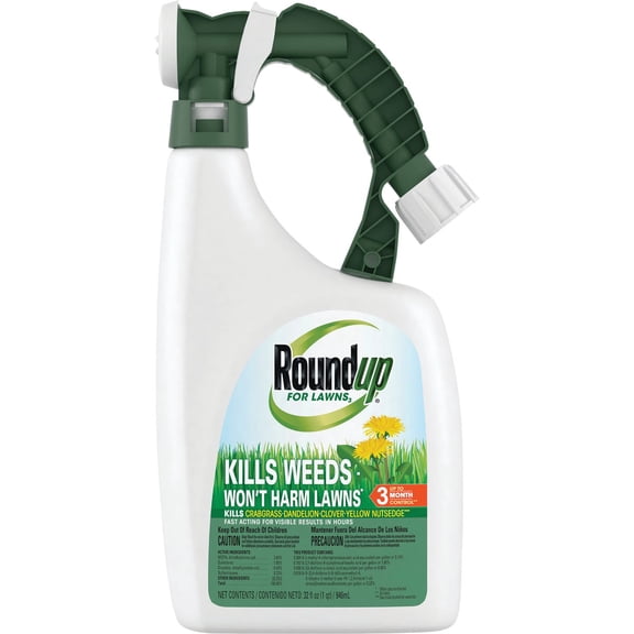 Roundup For Lawns Northern Formula Weed Killer - Single Pack