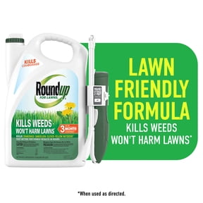 Roundup For Lawns Ready-To-Use with Extend Wand, Tough Weed Killer for Use on Northern Grasses, 1.33 gal.