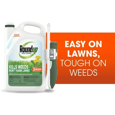Roundup For Lawns₁ Ready-to-Use with Extend Wand, Tough Weed Killer for Use on Northern Grasses, 1 gal.