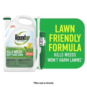 Roundup For Lawns Ready-To-Use with Extend Wand, Tough Weed Killer for Use on Northern Grasses, 1 gal.