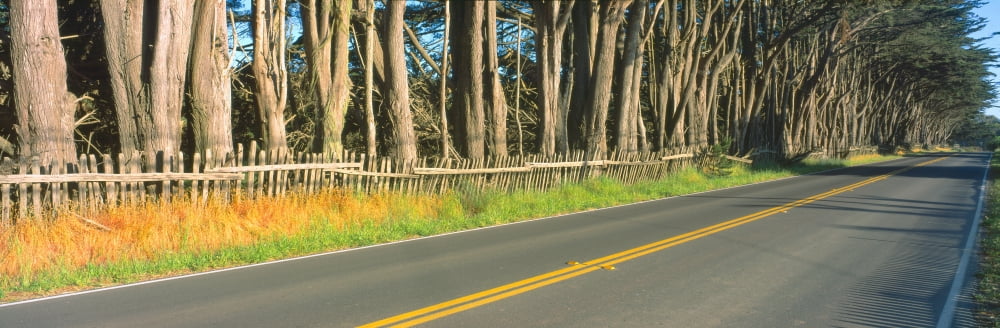 Route 1 Mendocino California Canvas Art - Panoramic Images (36 x 12)