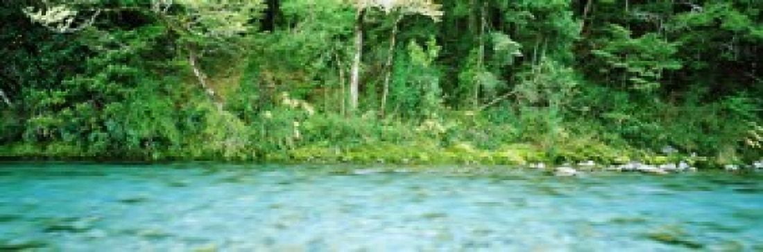 Routeburn River near the Dart River and start of Routeburn Track and Mt Aspiring National Park South Island New Zealand Canvas Art - Panoramic Images (18 x 6)