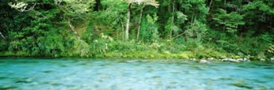 Routeburn River near the Dart River and start of Routeburn Track and Mt Aspiring National Park South Island New Zealand Canvas Art - Panoramic Images (36 x 12)