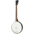 thumbnail image 1 of Rover RB-20T 4-String Tenor Banjo, 1 of 5