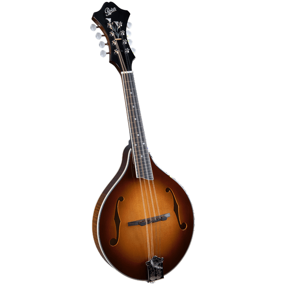 Rover RM-80S Deluxe A-Model Mandolin Solid Top Burgundy Burst