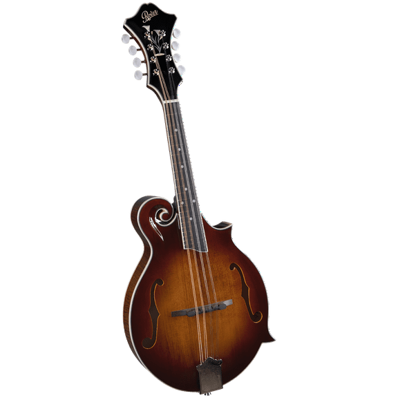 Rover RM-85 Deluxe F-model Mandolin Burgundy Burst