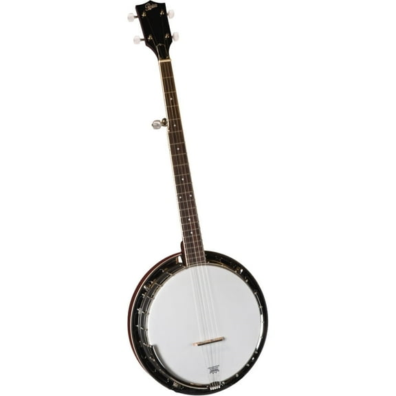 Rover RB-25 Student 5-String Resonator Banjo with Gig Bag
