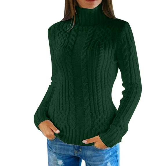 Rovga Turtleneck Sweater Women Winter Knitted Wool Knit Bottom Female Long Sleeve Thick Twist Loose Pullover Leisure Dailywear