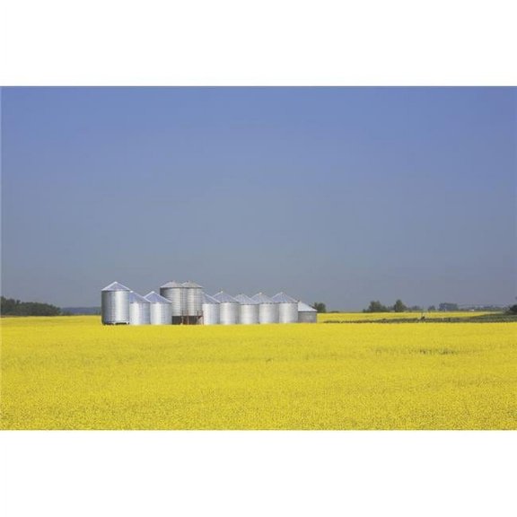 Row Of Metal Grain Bins In Canola Field Alberta Canada Poster Print
