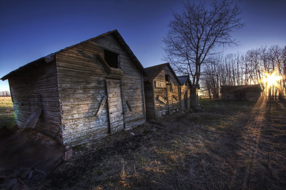 Row Of Sheds At Sunset Fort Saskatchewan Alberta Canvas Art - Dan Jurak Design Pics (17 x 11)