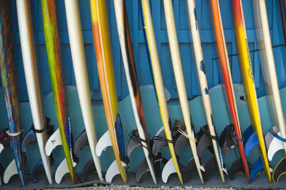 Row Of Surfboards Lined Up Against A Wall Canvas Art - Dana Edmunds Design Pics (34 x 22)