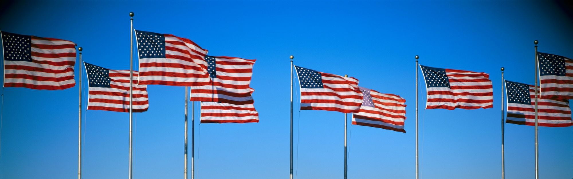 Row of American flags blowing in wind Canvas Art - Panoramic Images (27 x 9)