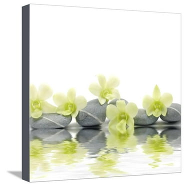 Row of Stones and Orchid with Reflection Stretched Canvas Print Wall Art By Apollofoto