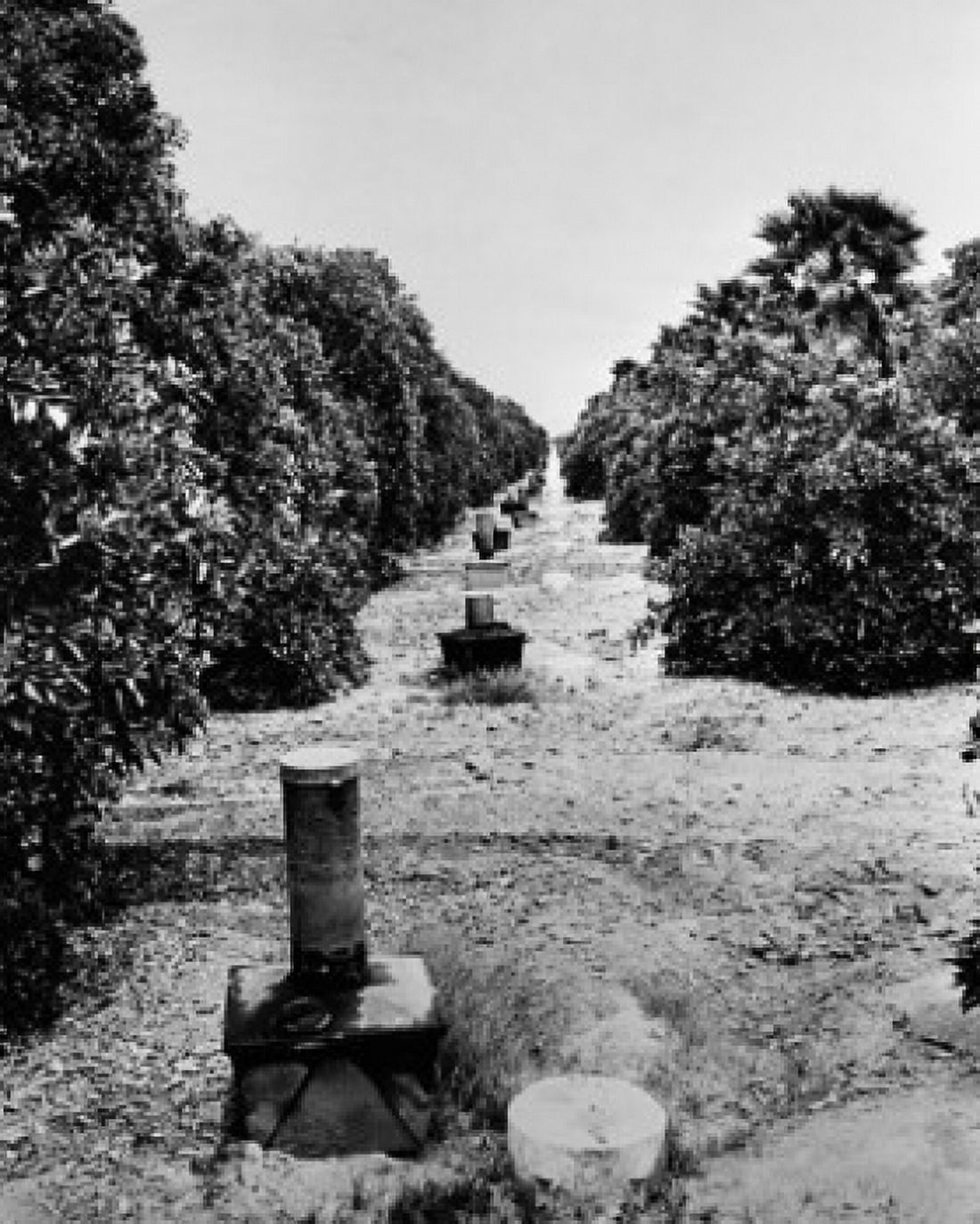 Row of smudge pots in an orange grove California USA Canvas Art - (18 x 24)