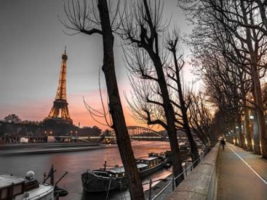 Row of trees the river Seine and the Eiffel tower at dusk Canvas Art - Assaf Frank (18 x 24)