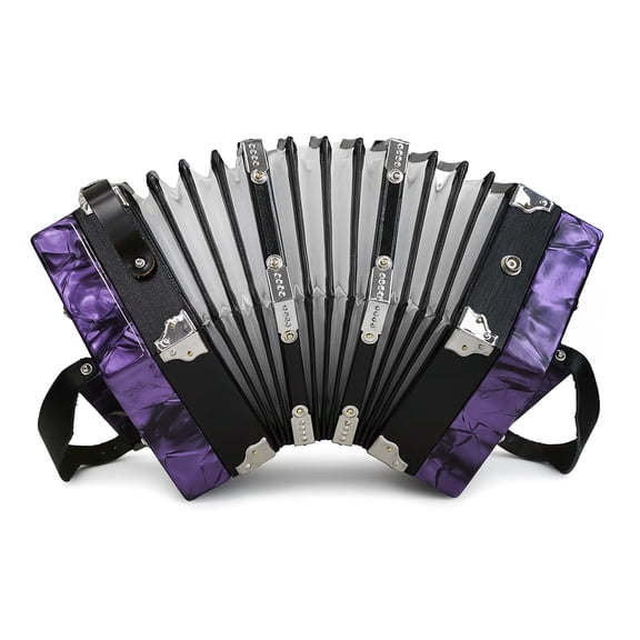 Rowadtim 20-Key Red Concertina Accordion for Adults, Professional Beginner Instrument with Adjustable Hand Straps and Full Accessories