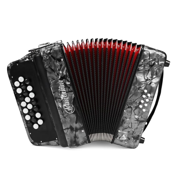 Rowadtim 22 Keys Accordion, 8 Bass Student Piano Accordions Suitable for Beginners and Students; Lightweight and Portable, with Backpack and Adjustable Straps (Gray)