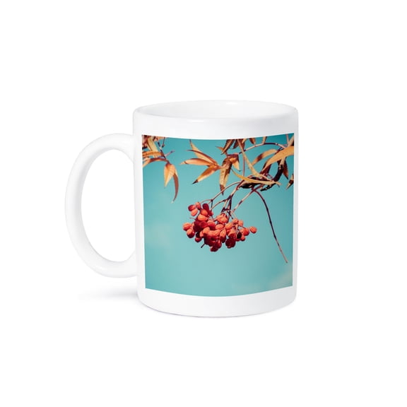 3drose, Rowan Berries in Pastel Colors. Autumn Scene, 11oz Mug