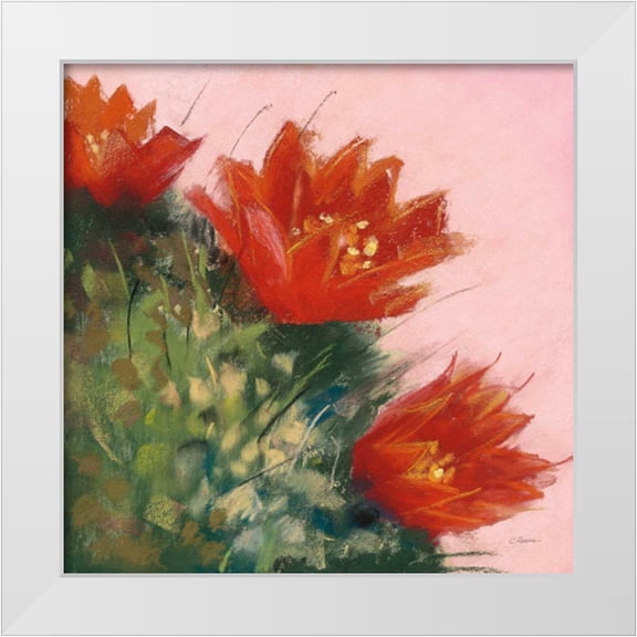 Rowan, Carol 12x12 White Modern Wood Framed Museum Art Print Titled - Blooming Succulent IV