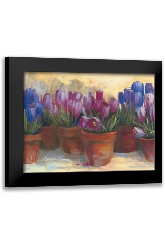 Rowan, Carol 14x12 Black Modern Framed Museum Art Print Titled - Spring Crocus