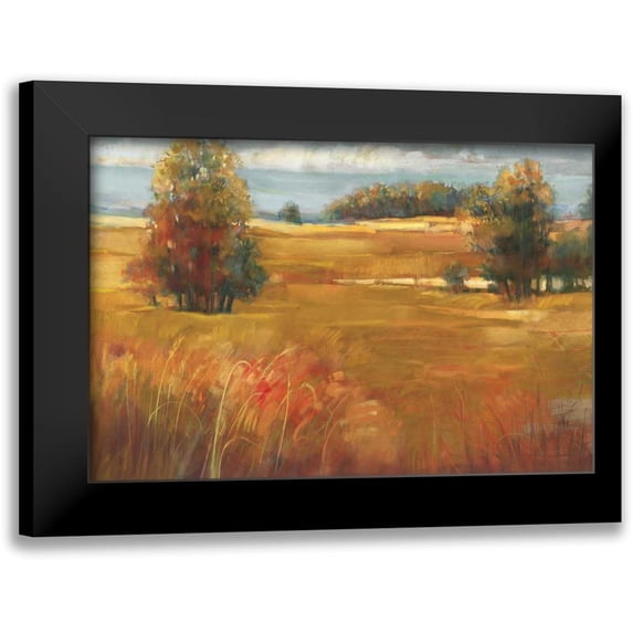 Rowan, Carol 18x13 Black Modern Framed Museum Art Print Titled - October Light