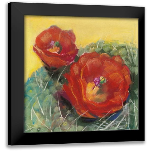 Rowan, Carol 20x20 Black Modern Framed Museum Art Print Titled - Blooming Succulent I