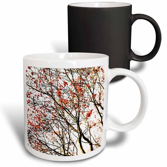 3drose, Rowan Tree, Red, Berries on White, 11oz Magic Transforming Mug