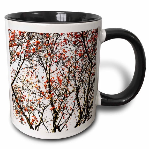 3drose, Rowan Tree, Red Berries, White Background, 11oz Two-tone Black Mug