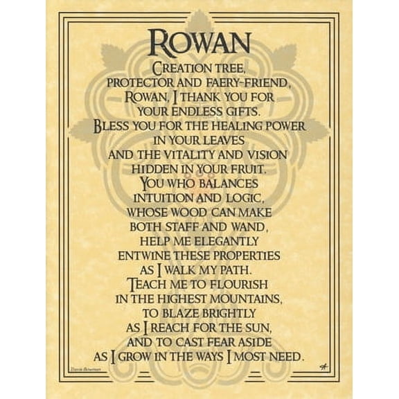 Rowan Tree poster | Trending Now