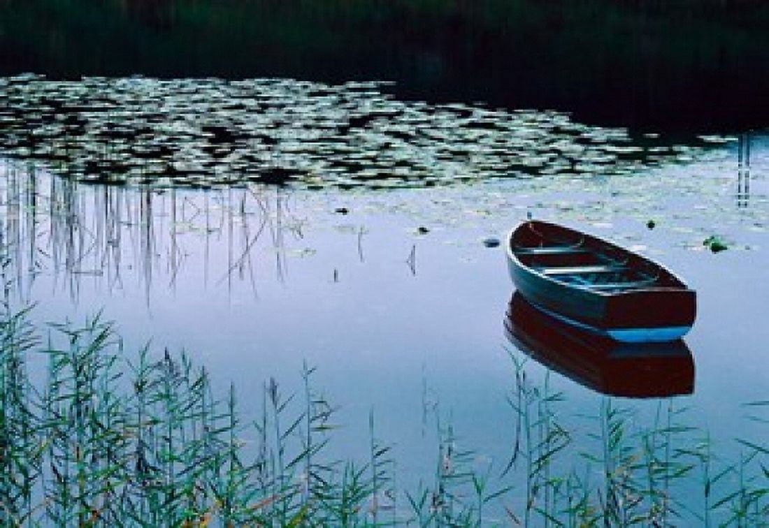 Rowboat on Lake Surrounded by Water Lilies Lake District National Park England Canvas Art - Tom Haseltine DanitaDelimont (35 x 24)