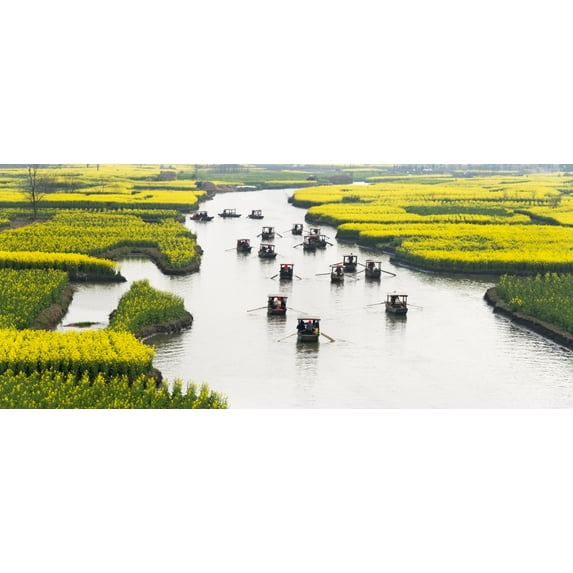 Rowing boat on river through Thousand-Islet canola flower fields, Xinghua, Jiangsu Province, China Poster Print by Keren Su (24 x 36)