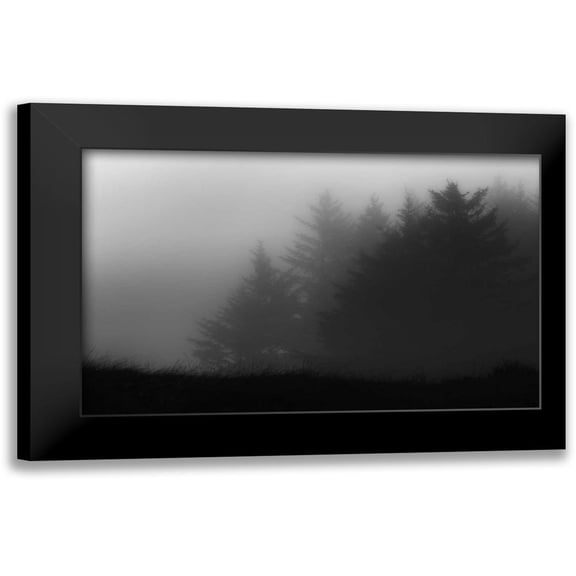Rowland, Joseph 14x10 Black Modern Framed Museum Art Print Titled - Trees In Fog