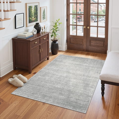 Roxstand TPR Non-Slip Area Rug Washable Soft Carpet for Living Room Bedroom Kitchen Hallway Entryway Home Decor Floor Mat, 3x5 ft, Grey