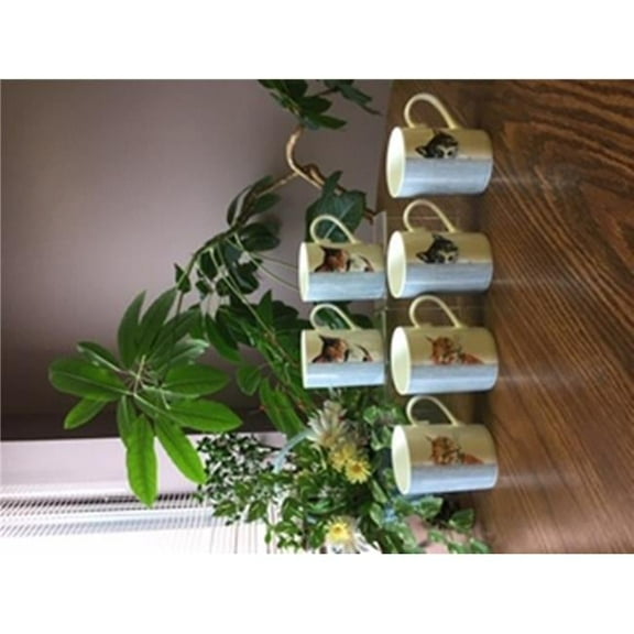 Roy Kirkham ER21148 LUCY MUG-CAT THROUGH THE DOOR, Set of 6