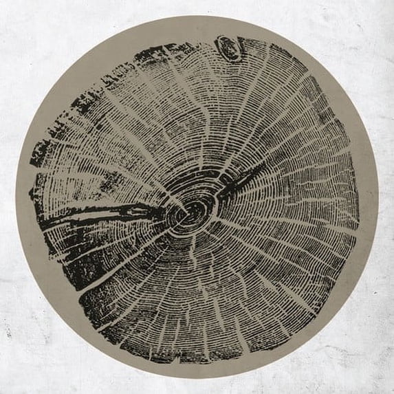 Roy Montgomery - H: Bender - Music & Performance - Vinyl