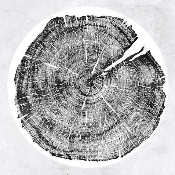 Roy Montgomery - M: Darkmotif Dancehall - Music & Performance - Vinyl