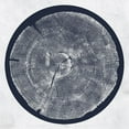 thumbnail image 1 of Roy Montgomery - R: Tropic Of Anodyne - Music & Performance - Vinyl, 1 of 1