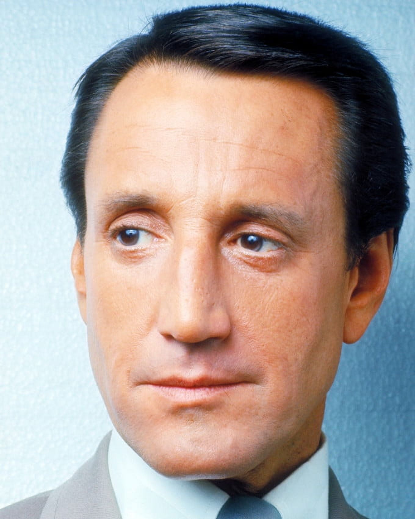 Roy Scheider 24X36 Classic Hollywood Poster - Walmart.com