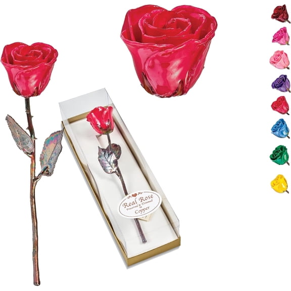 Roy's Red Lacquer Dipped Copper Trimmed Real Rose