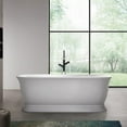 thumbnail image 1 of Royal 67 Inch Matte White Acrylic Double Ended Freestanding Tub, 1 of 2
