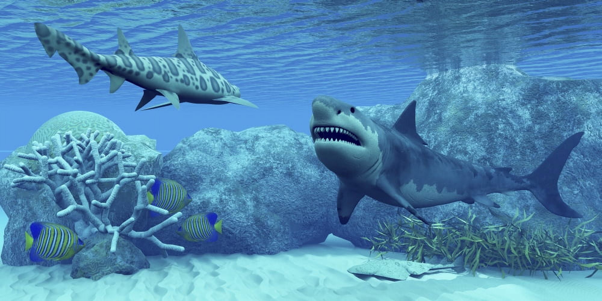 Royal Angelfish try to hide from a Great White Shark and a Leopard Shark Canvas Art - Corey FordStocktrek Images (40 x 20)