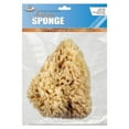 thumbnail image 1 of R2021 | Sea Wool Sponges - 6" - 7", 1 of 1