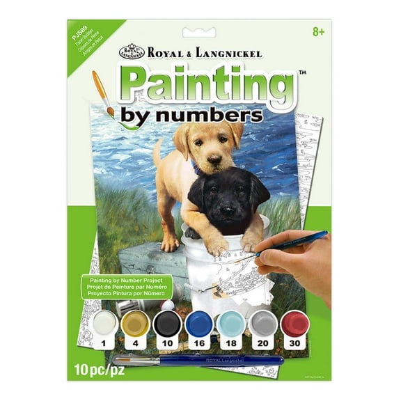 Royal Brush Fishin' Buddies Paint-by-Number Kit