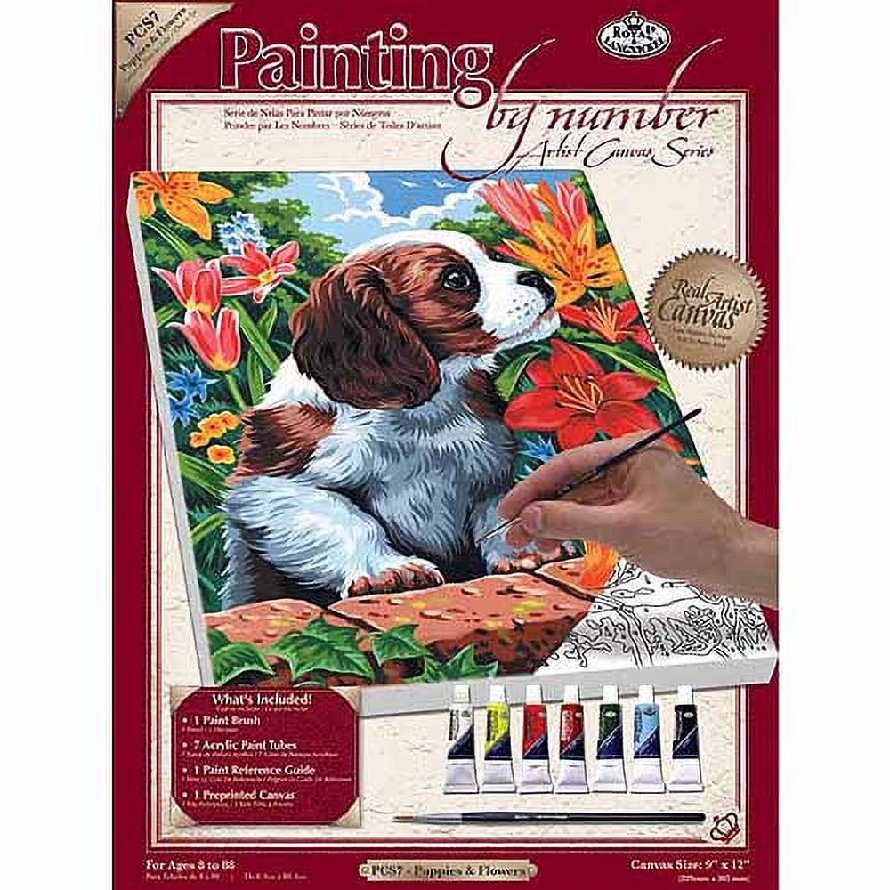 Royal Brush Paint By Number Kits, 9" x 12"