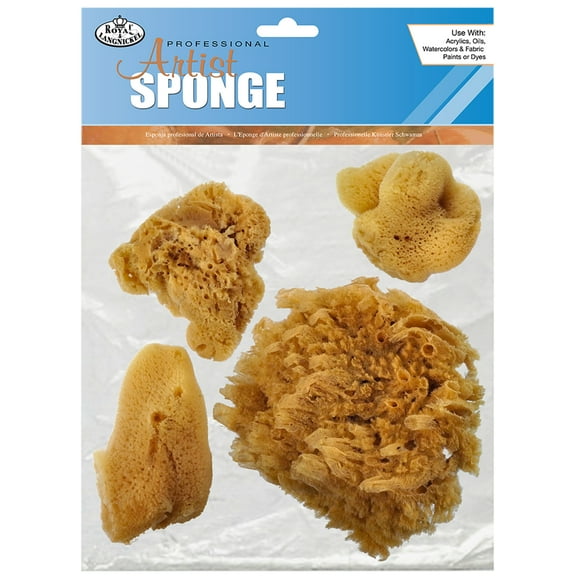 Royal Brush Sponge Set, Silk
