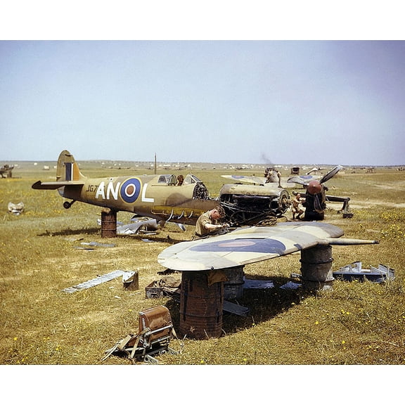 Royal Canadian Air Force Scrapped Supermarine Spitfire - 12x18 Inch Laminated Aviation Poster - Stunning Detail and Bold Colors