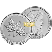 Royal Canadian Mint 2 oz Silver Canadian Maple Leaf Coin Random Year