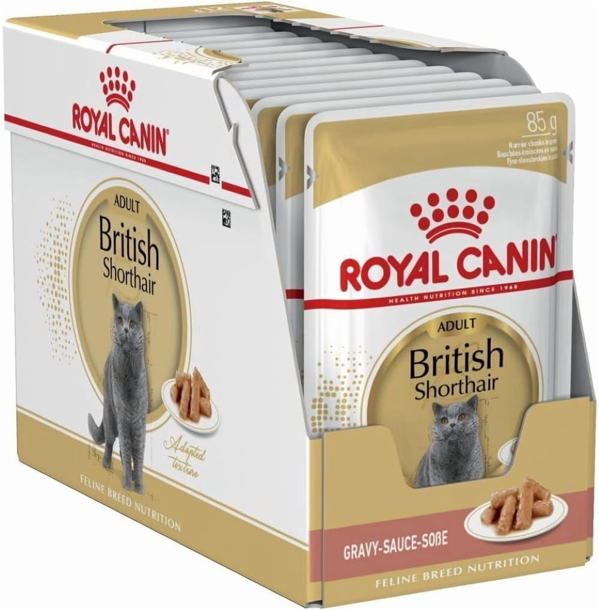 Royal Canin British Shorthair Cat Wet Food in Gravy 12x85g