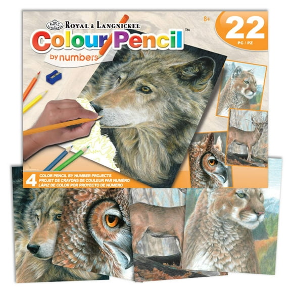 Royal Color Pencil By Number Activity Set